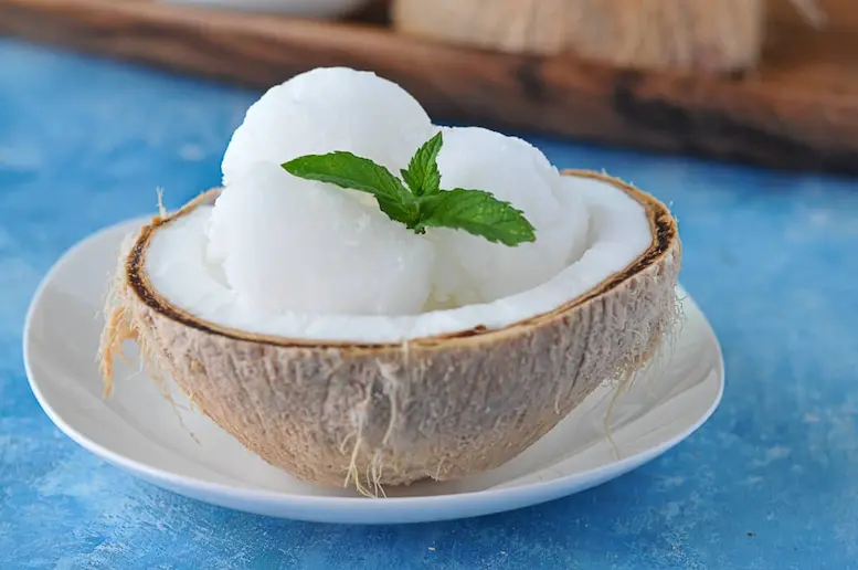 Coconut Milk Ice Cream