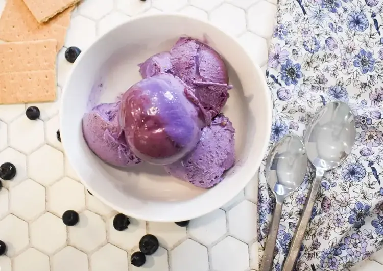 Ninja Creami Blueberry Ice cream